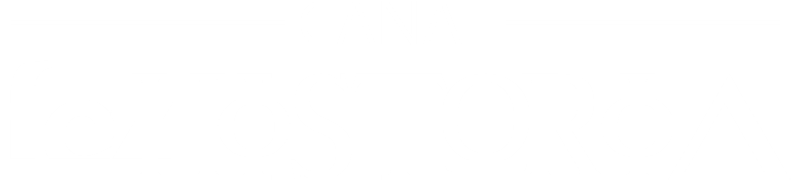 Canal Fez História