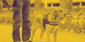 24 Abril - Dia Internacional do Cão-Guia