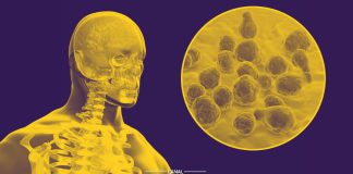 24 Abril - Dia Mundial de Combate à Meningite