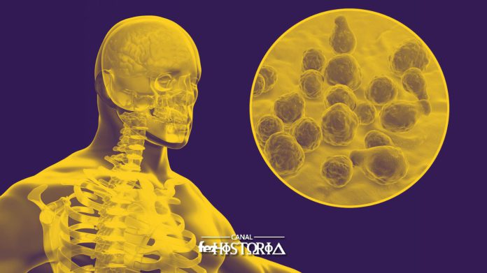 24 Abril - Dia Mundial de Combate à Meningite