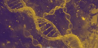 25 Abril - Dia do DNA