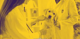 27 Abril - Dia Mundial da Medicina Veterinária