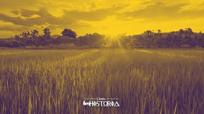 10 Maio - Dia do Campo