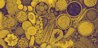 12 Maio - Dia Internacional da Sanidade Vegetal