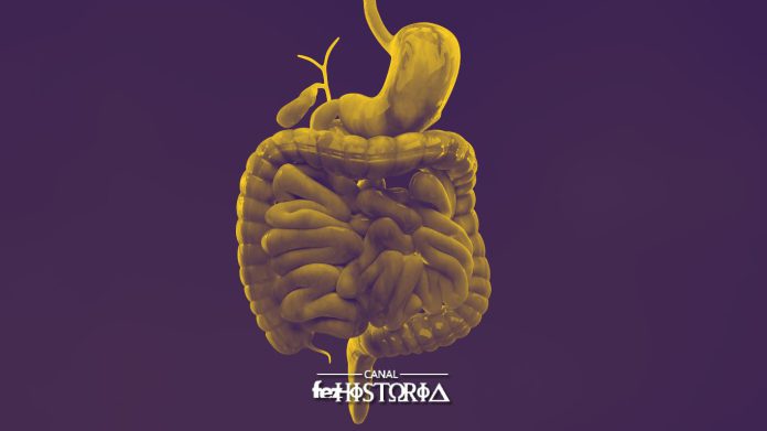 19 Maio - Dia Mundial da Doença Inflamatória Intestinal