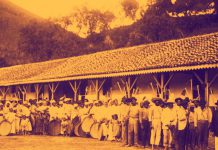 O Terceiro Milagre Brasileiro - O Café