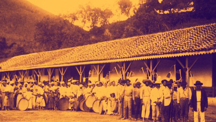O Terceiro Milagre Brasileiro - O Café