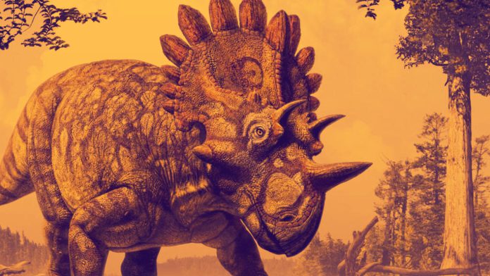 ceratopse