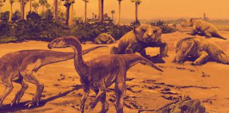 Dinossauros Brasileiros