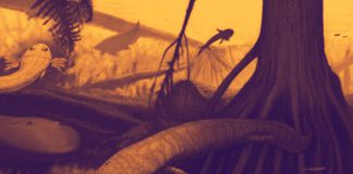 Era Paleozoica