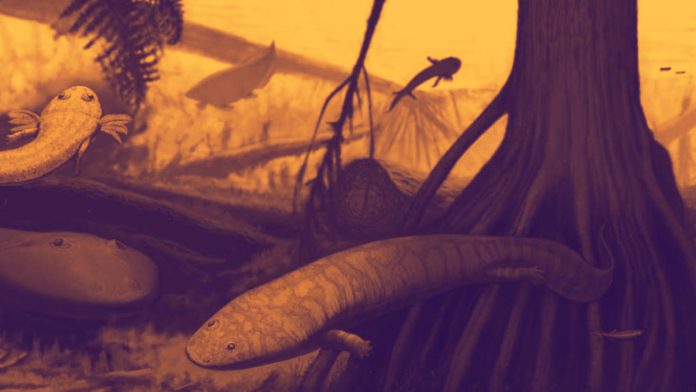 Era Paleozoica