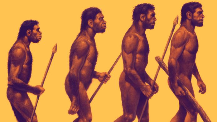 Evolução do Homem Primitivo