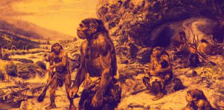 Homem de Cro Magnon