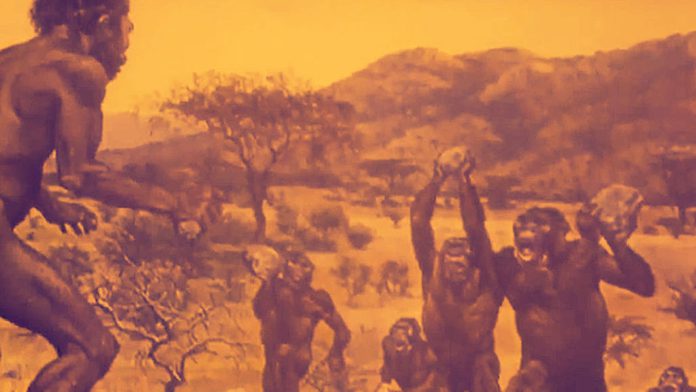 Homo Erectus