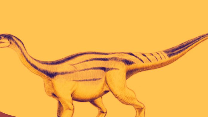 Prossauropodes