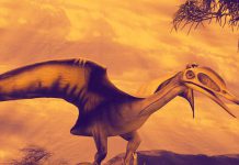 Pterossauros