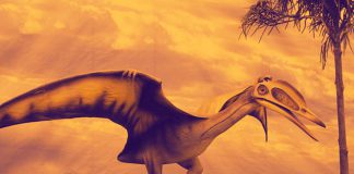 Pterossauros