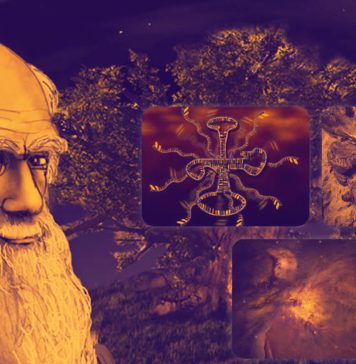Teoria do Evolucionismo