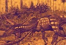 Theropoda