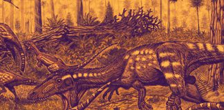 Theropoda