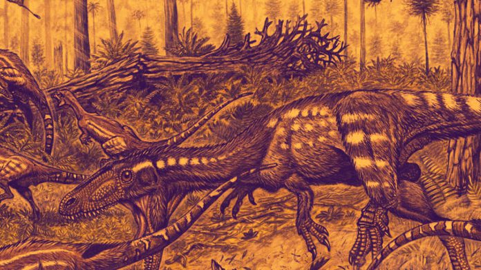 Theropoda