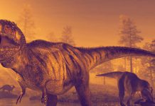 Tyrannosaurus