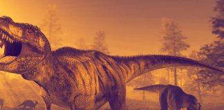 Tyrannosaurus