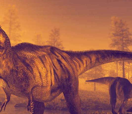Tyrannosaurus