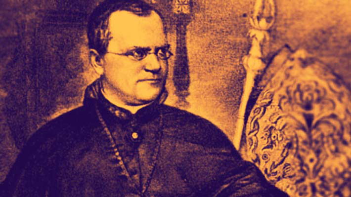 gregor-mendel