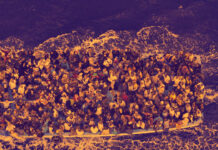 Migrações Populacionais