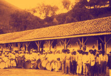 O Terceiro Milagre Brasileiro – O Café