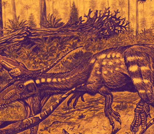 theropoda