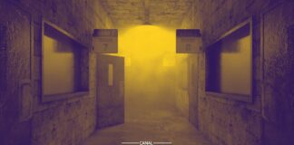 O Caso do "Pássaro que Prevê a Morte" no Asilo Inglês