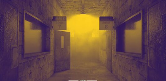 O Caso do "Pássaro que Prevê a Morte" no Asilo Inglês